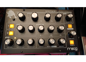 Moog Music Minitaur (69332)