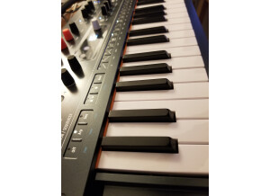 20231102 230430 resized