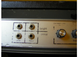 Ampeg svt bass head (8387)