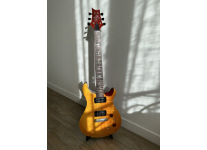 PRS SE Paul's Guitar (40138)