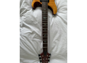 PRS SE Paul's Guitar (83380)