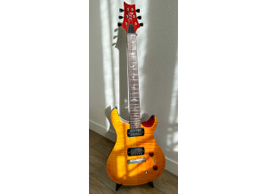 PRS SE Paul's Guitar (8836)