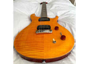 PRS SE Paul's Guitar (71367)