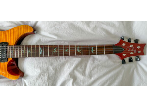 PRS SE Paul's Guitar (85904)