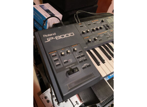 Roland JP-8000 (94079)