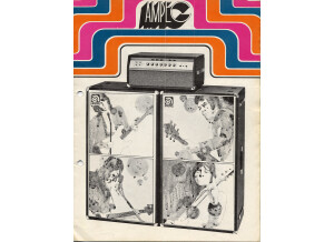 Ampeg svt bass head (29217)