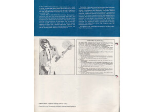 Ampeg svt bass head (76510)