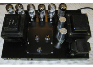 Ampeg svt bass head (32794)