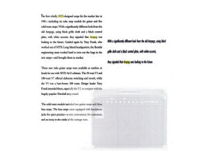 Ampeg svt bass head (98206)