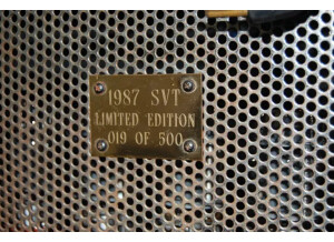 Ampeg svt bass head (77067)