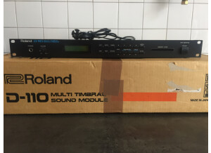 Roland D-110 (87683)