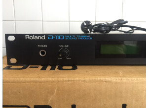 Roland D-110 (44603)