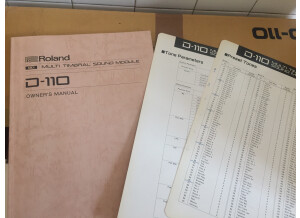 Roland D-110 (41449)