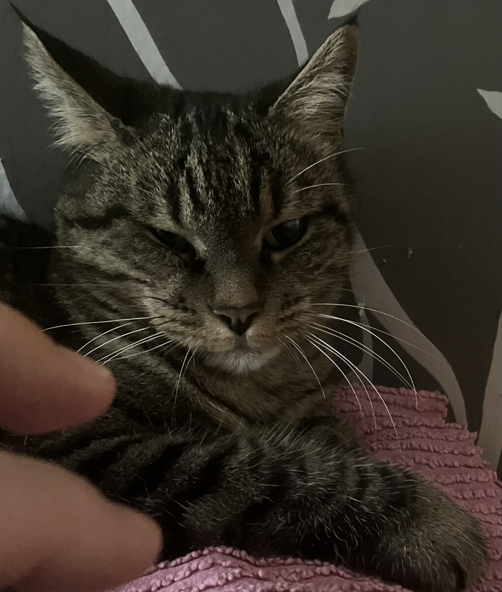 5877316.jpeg 5877316.jpeg