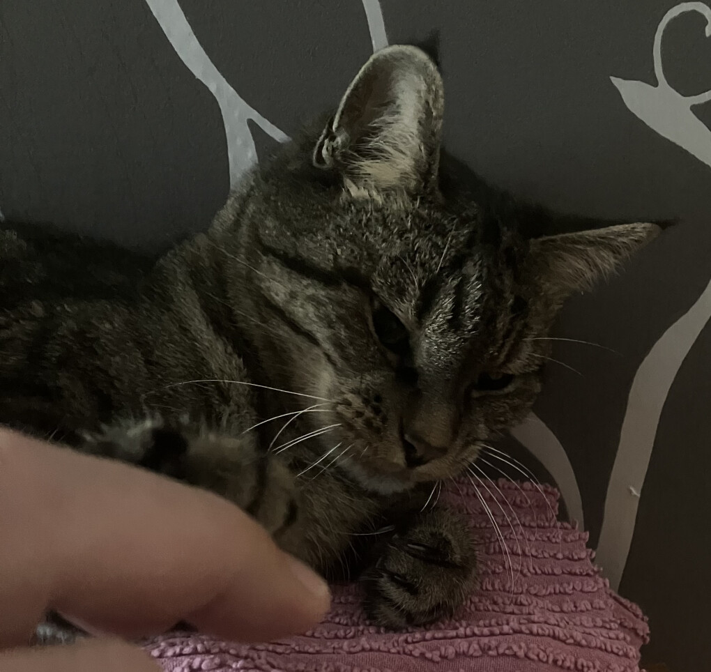 5877317.jpeg 5877317.jpeg