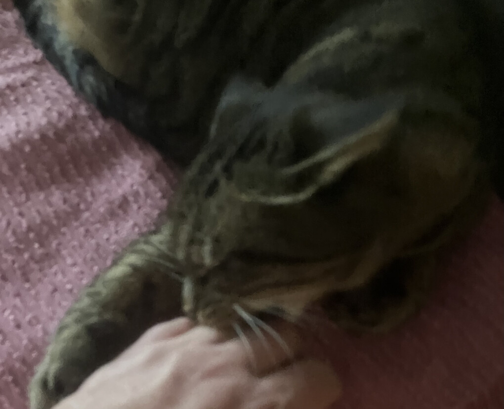 5877322.jpeg 5877322.jpeg