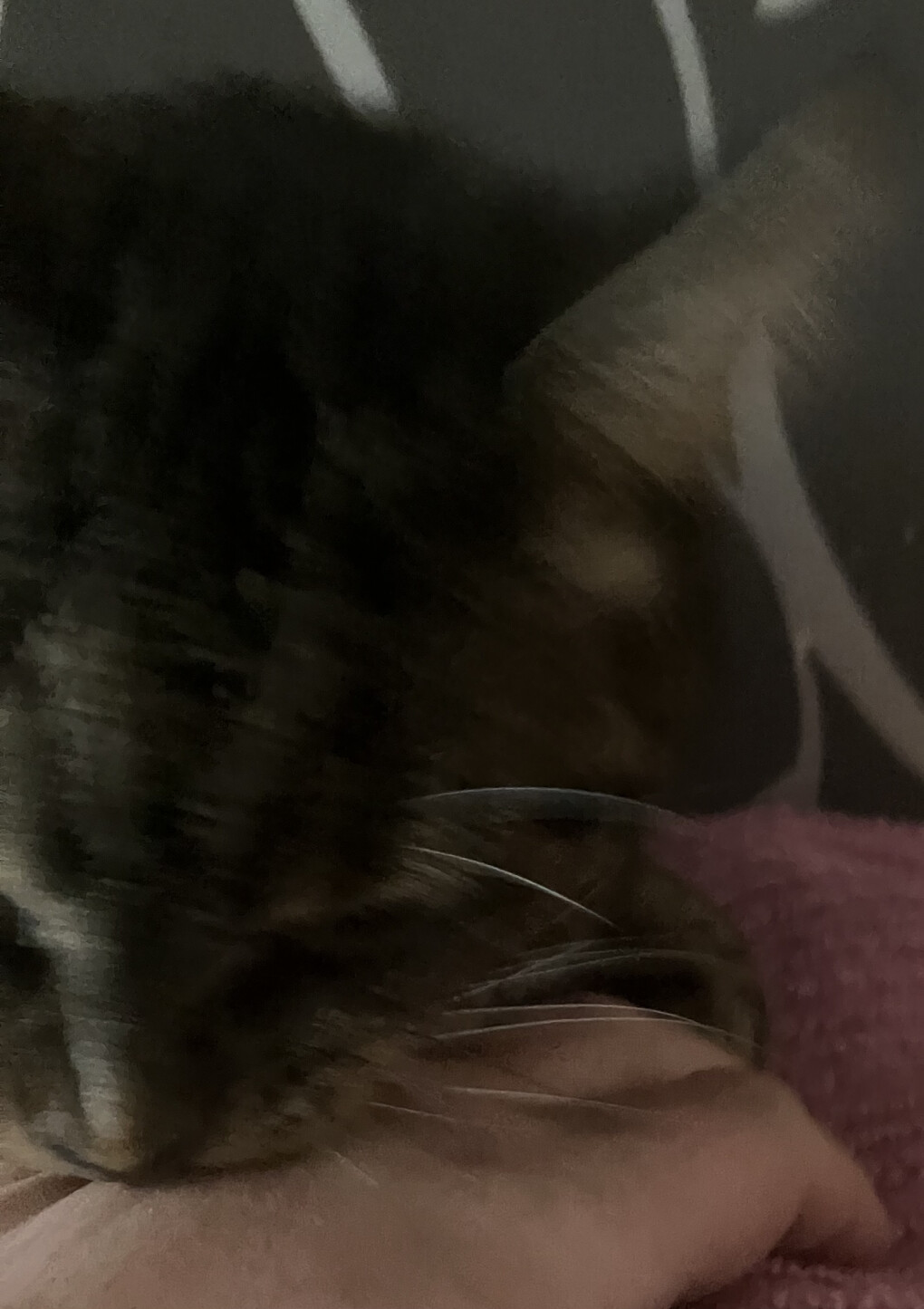 5877326.jpeg 5877326.jpeg