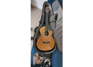 Alhambra Guitars CS-3 CW E2