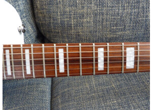 Supro David Bowie 1961 Dual Tone (50449)