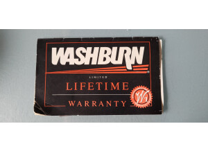 Washburn N2 (39065)