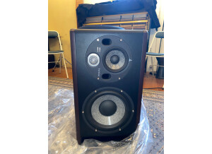 Focal Trio11 Be (10437)