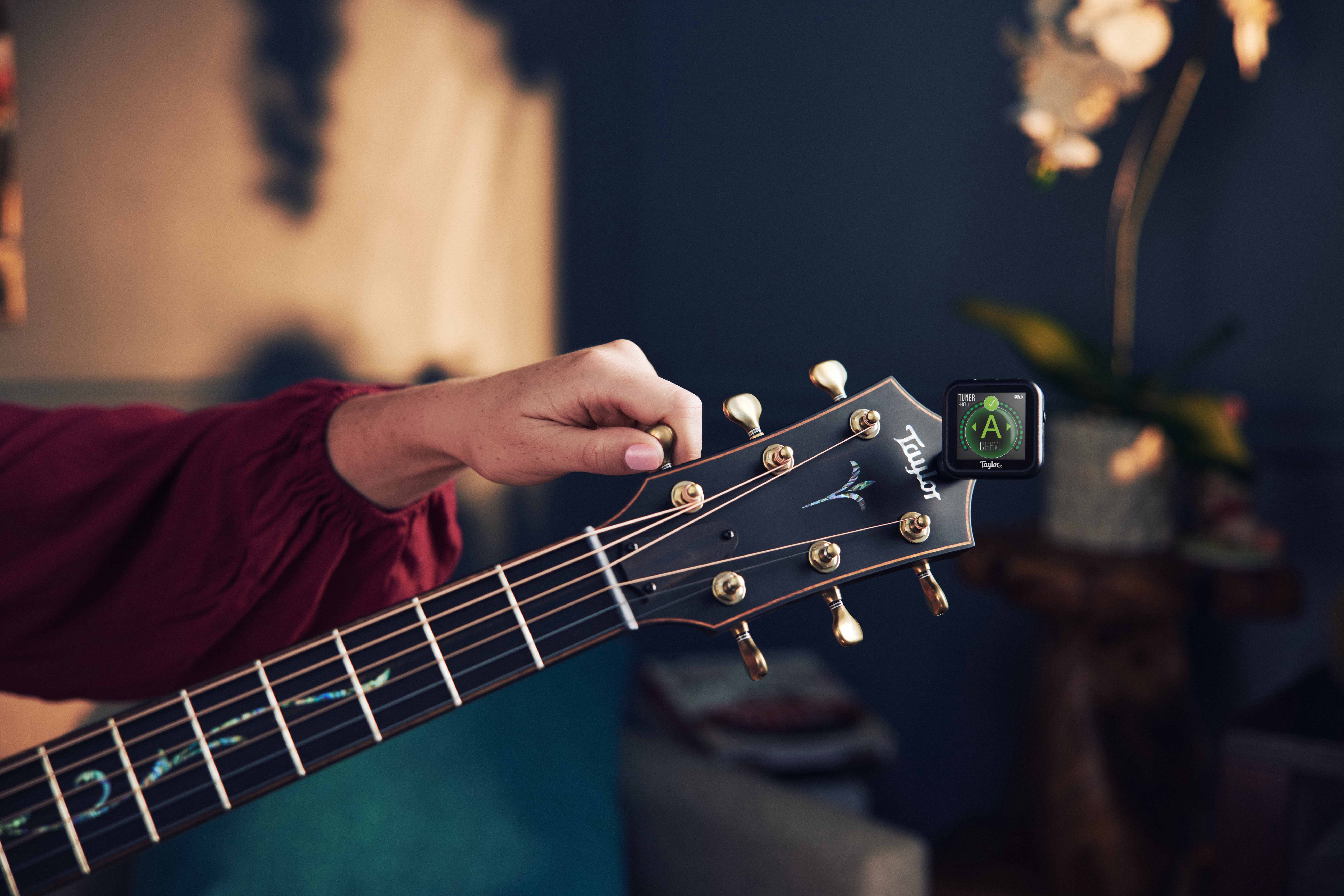 TAYLOR-LS-082823-Beacon-Beacon on headstock lr