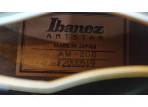 Ibanez AM200 (2017)