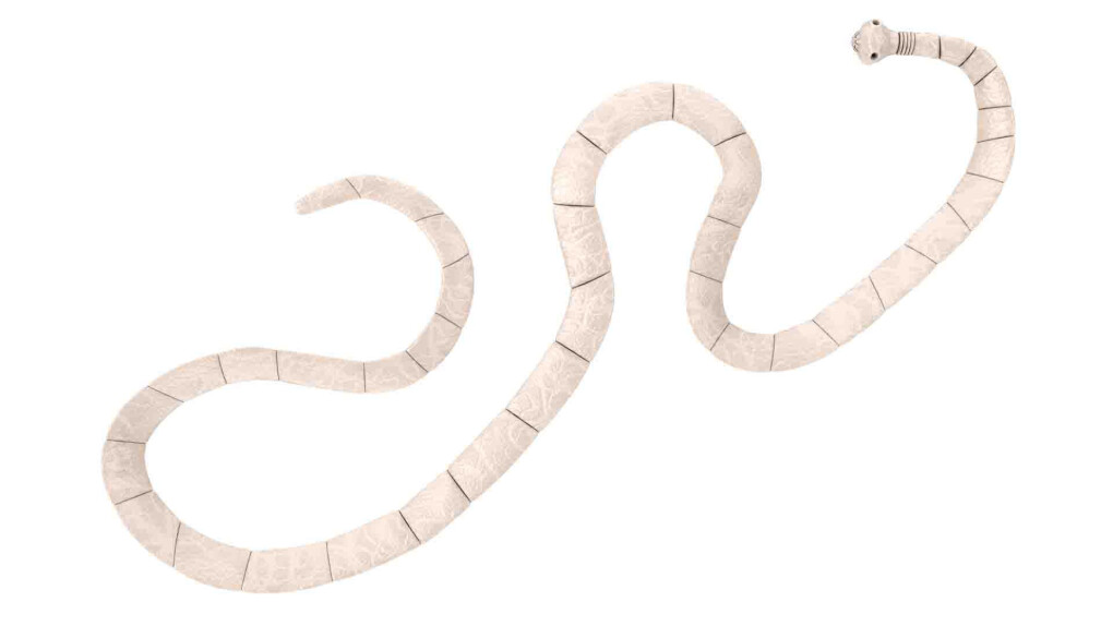 5879950.jpg 5879950.jpg