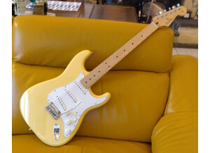 Fender Player Stratocaster (14975)