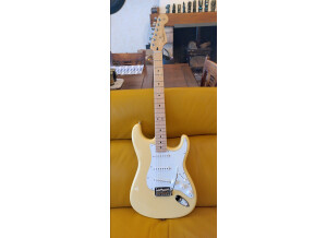 Fender Player Stratocaster (49312)