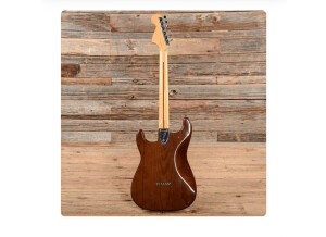 Fender Stratocaster Hardtail [1973-1983] (13715)