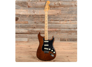 Fender Stratocaster Hardtail [1973-1983] (80038)