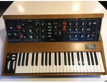 Moog Music Minimoog Model D (2016) (24977)