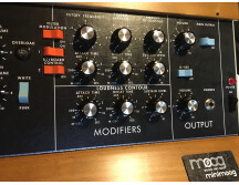 Moog Music Minimoog Model D (2016) (44846)