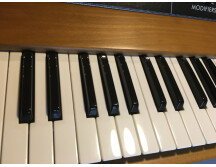 Moog Music Minimoog Model D (2016) (48174)