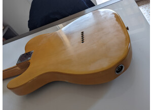 PXL 20231103 150707139