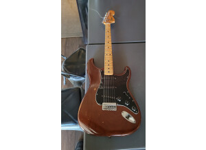 Fender Stratocaster Hardtail [1973-1983] (54451)