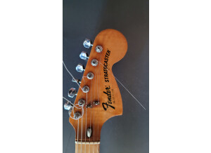 Fender Stratocaster Hardtail [1973-1983] (36120)