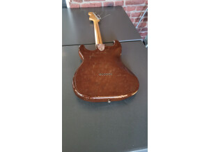 Fender Stratocaster Hardtail [1973-1983] (20903)