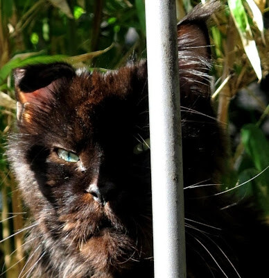 5882636.jpg 5882636.jpg