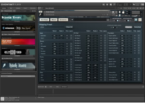 Native Instruments Kontakt 7 (72956)