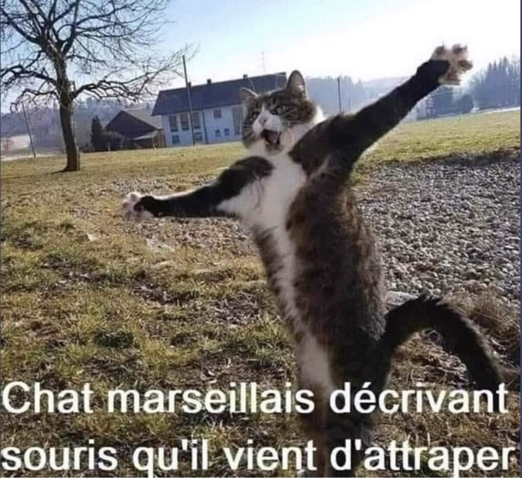 5884705.png 5884705.png