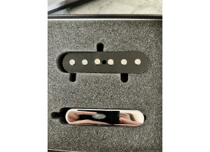 Fender Texas Special Tele Pickups