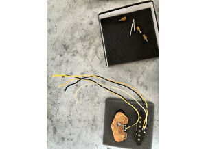 Fender Texas Special Tele Pickups