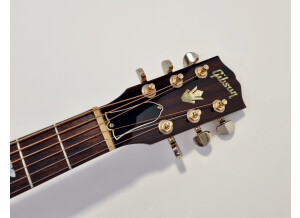 Gibson Songbird Deluxe (311)