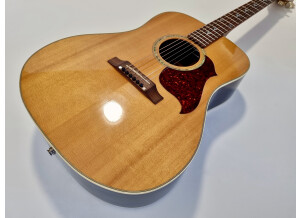 Gibson Songbird Deluxe (52295)