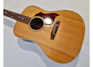 Gibson Songbird Deluxe (43935)