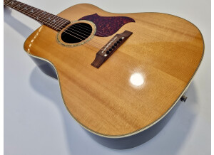 Gibson Songbird Deluxe (84028)