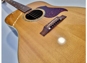 Gibson Songbird Deluxe (72930)