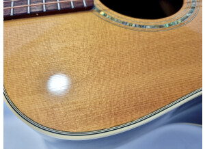 Gibson Songbird Deluxe (16569)